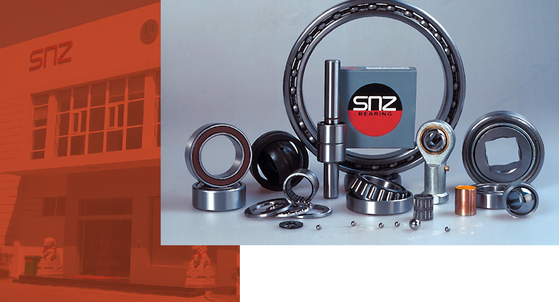 SNZ-premium quality bearing supplier